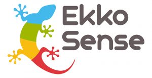 EkkoSense